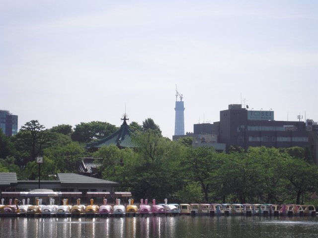 クリックすると、拡大します。